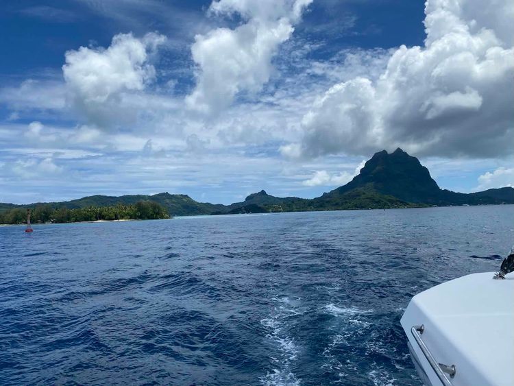 Voyage photo from Bora-Bora-Manta Snorkel->Tahaa-Ficus