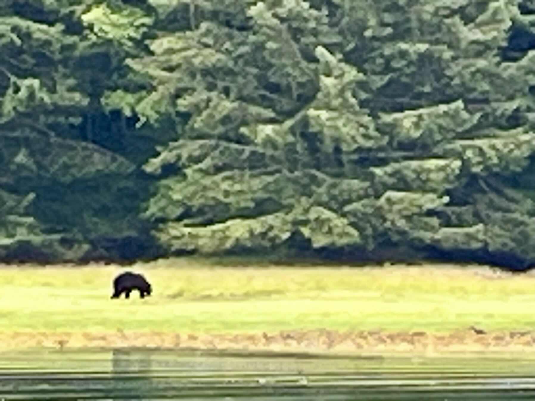 Fishing Day @ Haida Qwaii_F6190E02-7EAE-472B-8769-A6A874F97AB8