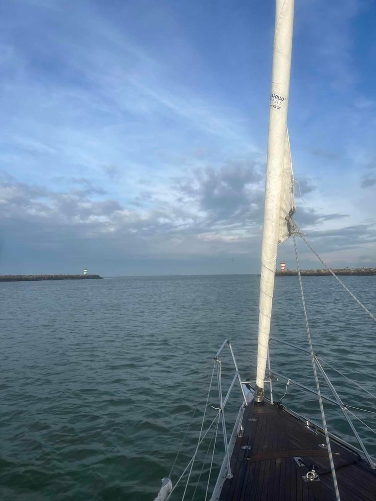 Voyage photo from Training on Ijsvogel