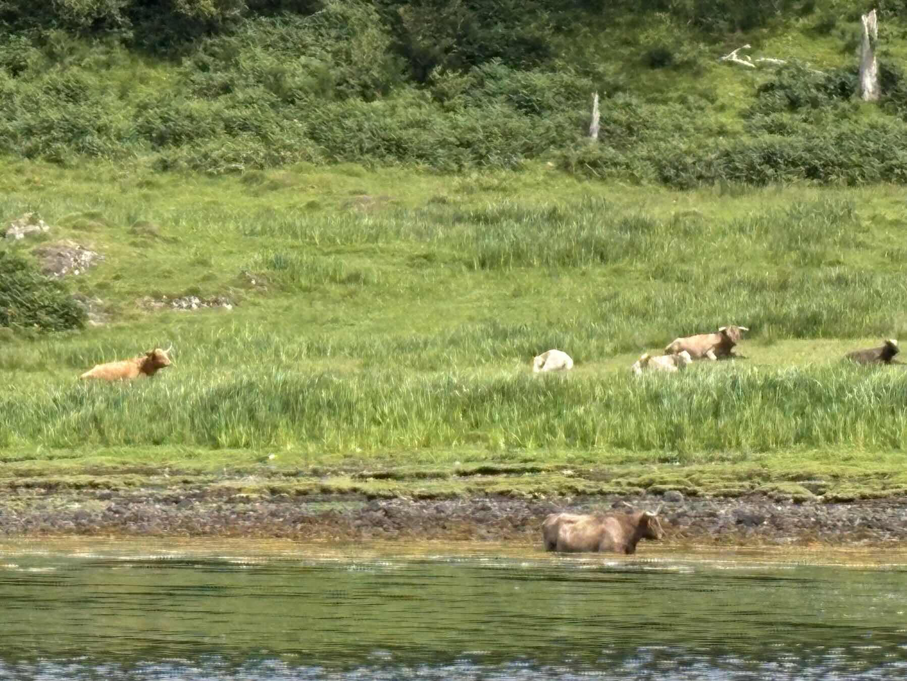 Loch Feochan to Balvicar_47EACBC2-8CF4-42CE-9391-556597A19722