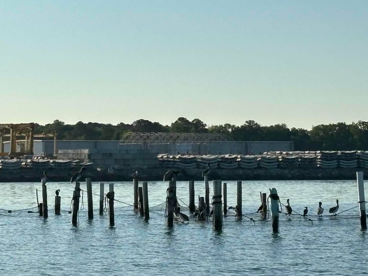 Voyage photo from Cape Charles to Somers Cove Marina