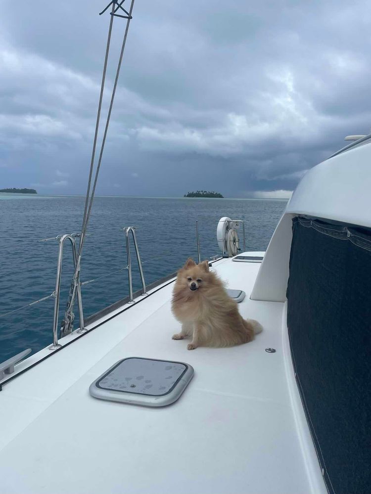 Voyage photo from Pulau Deer to Pulau Boo