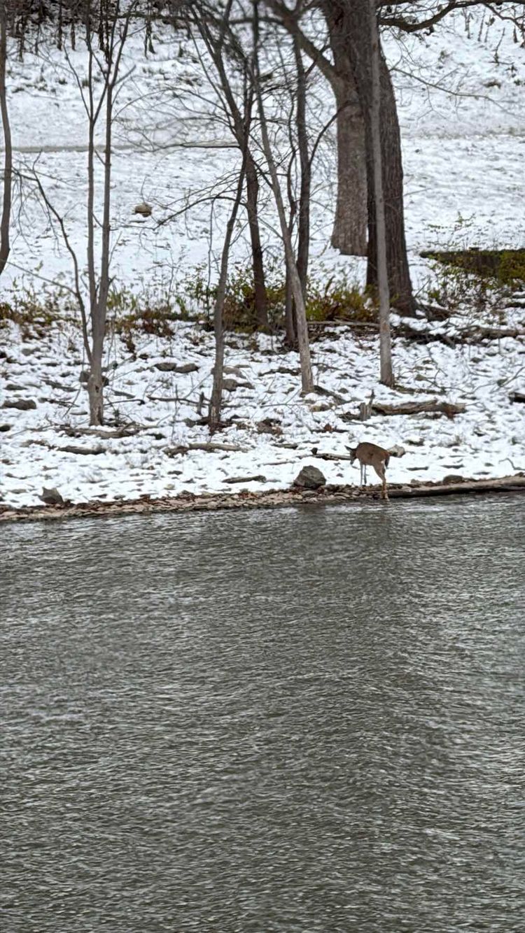 Voyage photo from Mouth of the Mississippi!