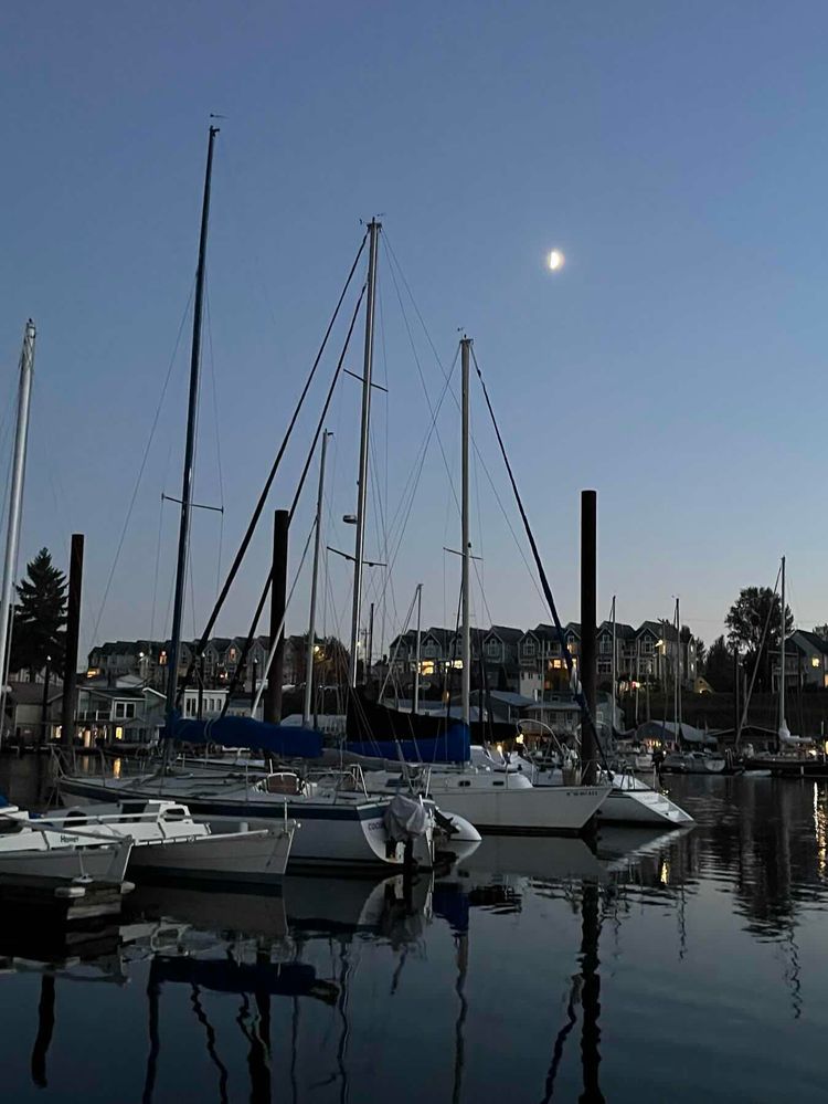 Voyage photo from Evening Sail