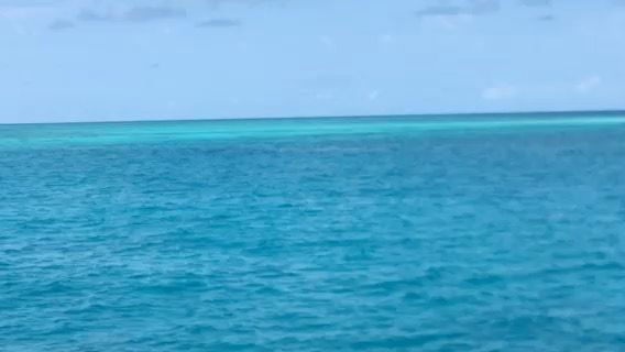 Voyage photo from Russell island to Beaver Reef & Cay.