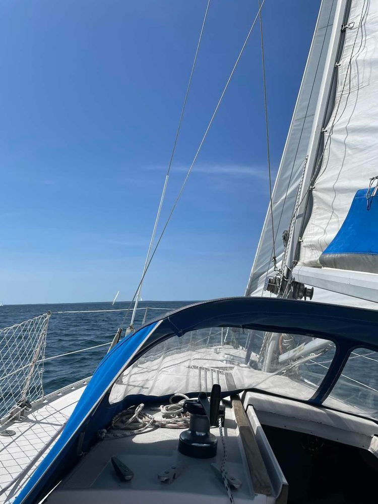 Voyage photo from Back from lunch