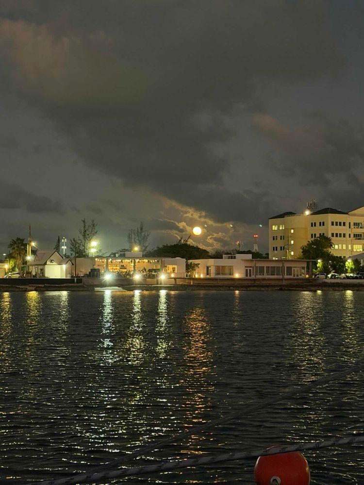 Voyage photo from Georgetown to Sting Ray City, Grand Cayman