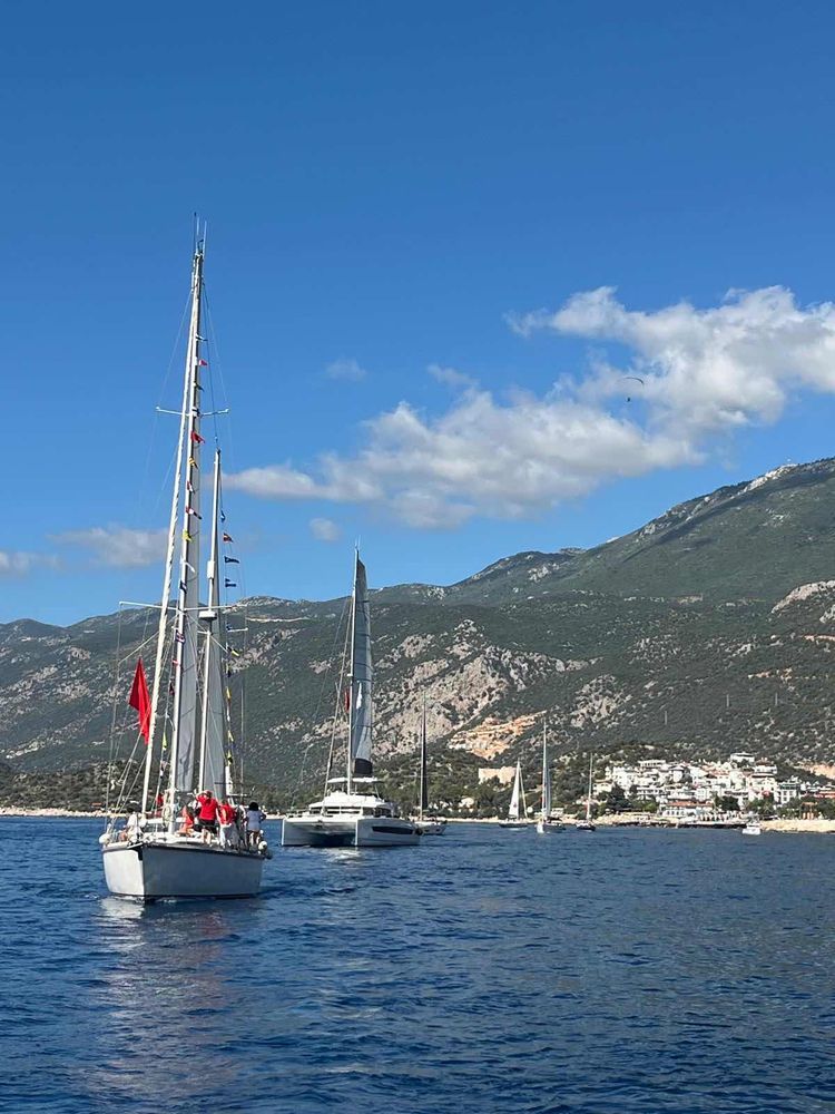 Voyage photo from 29 Ekim kortej