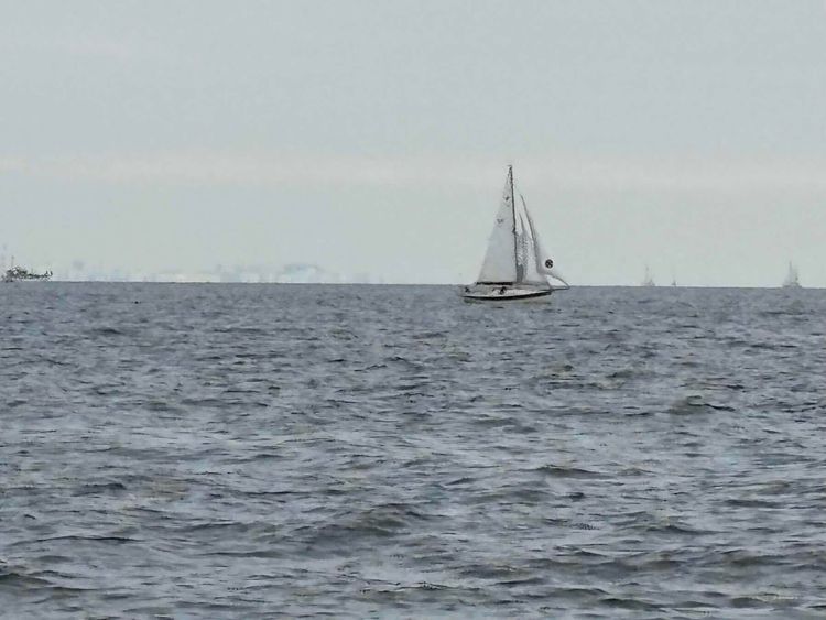 Voyage photo from YBMYC September 2026 Race
