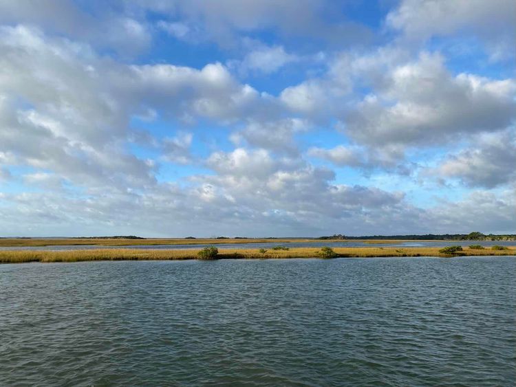 Voyage photo from Cumberland Island to Fort George River Florida