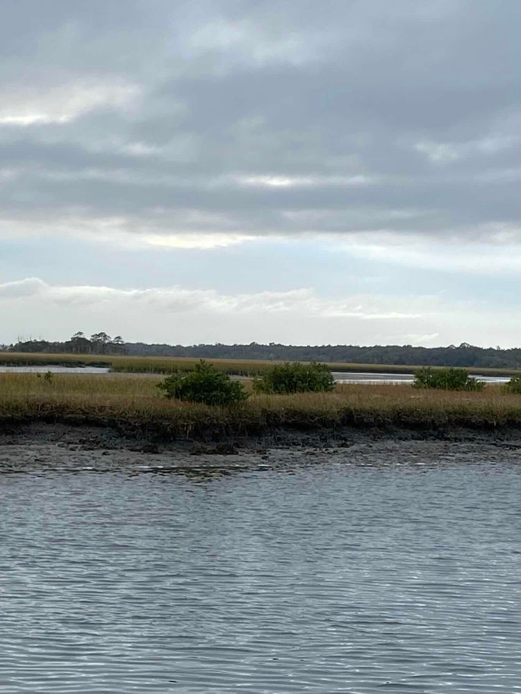 Voyage photo from Cumberland Island to Fort George River Florida