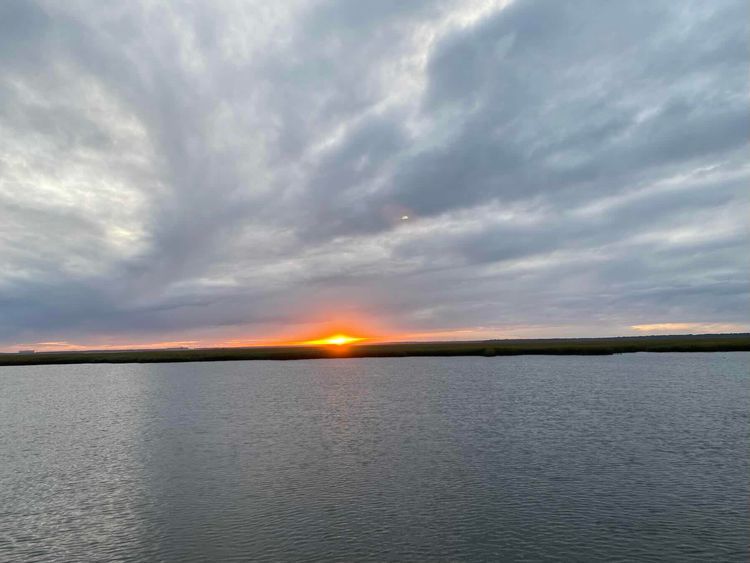 Voyage photo from Cumberland Island to Fort George River Florida