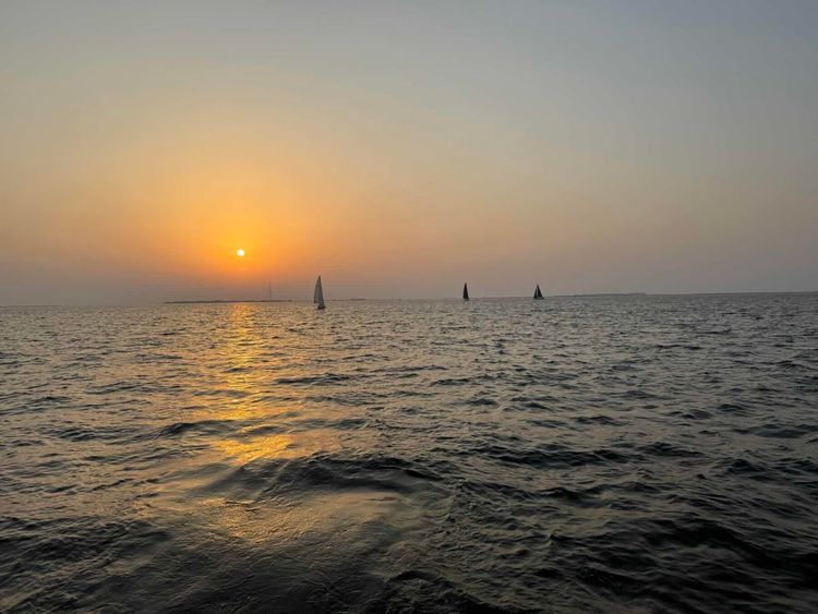 Voyage photo from Wednesday night pursuit 