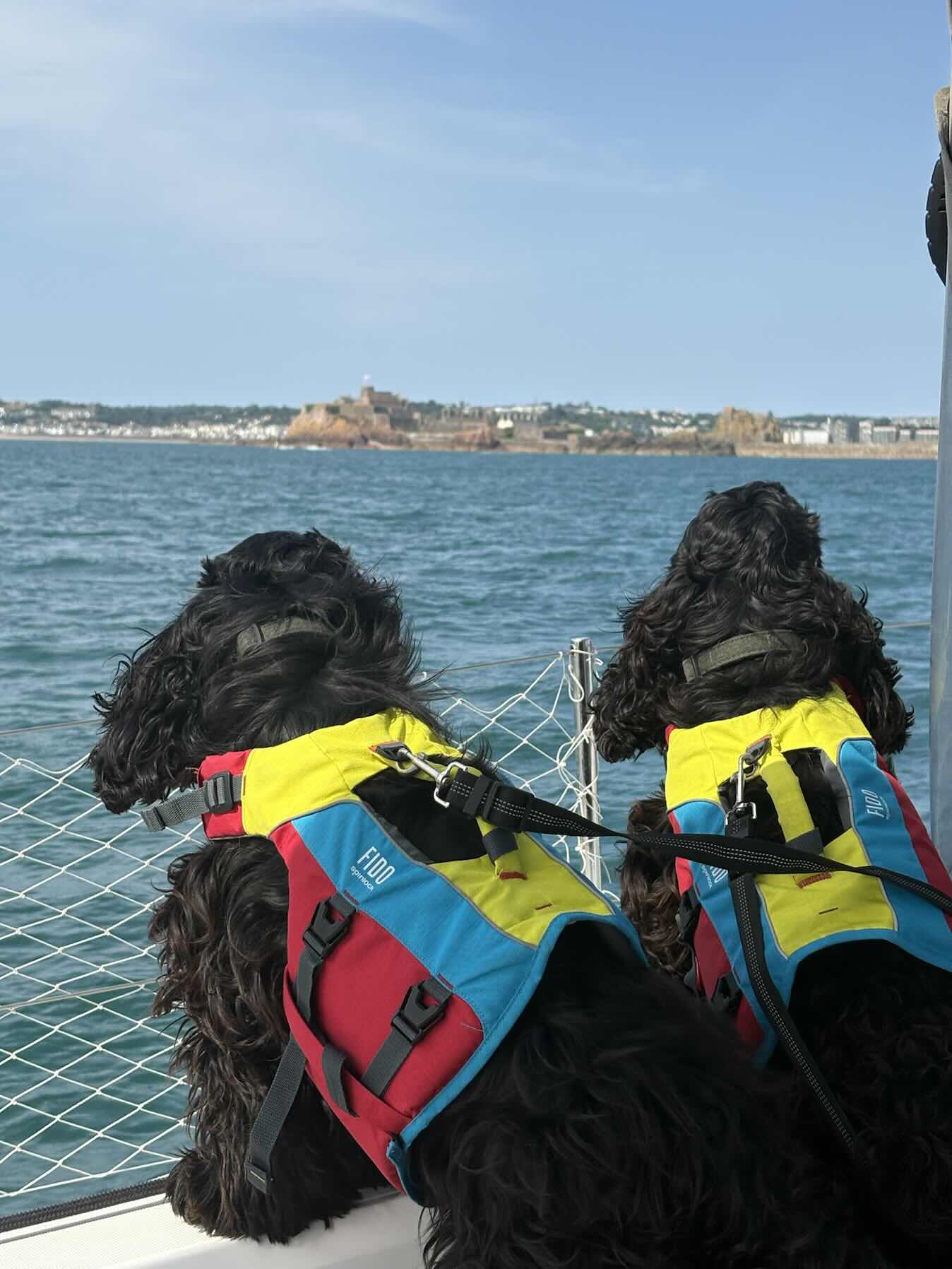 Petit Port, Guernsey to Elizabeth Marina, Jersey_EBC893DD-0598-47EF-9B24-53F85BC846A6