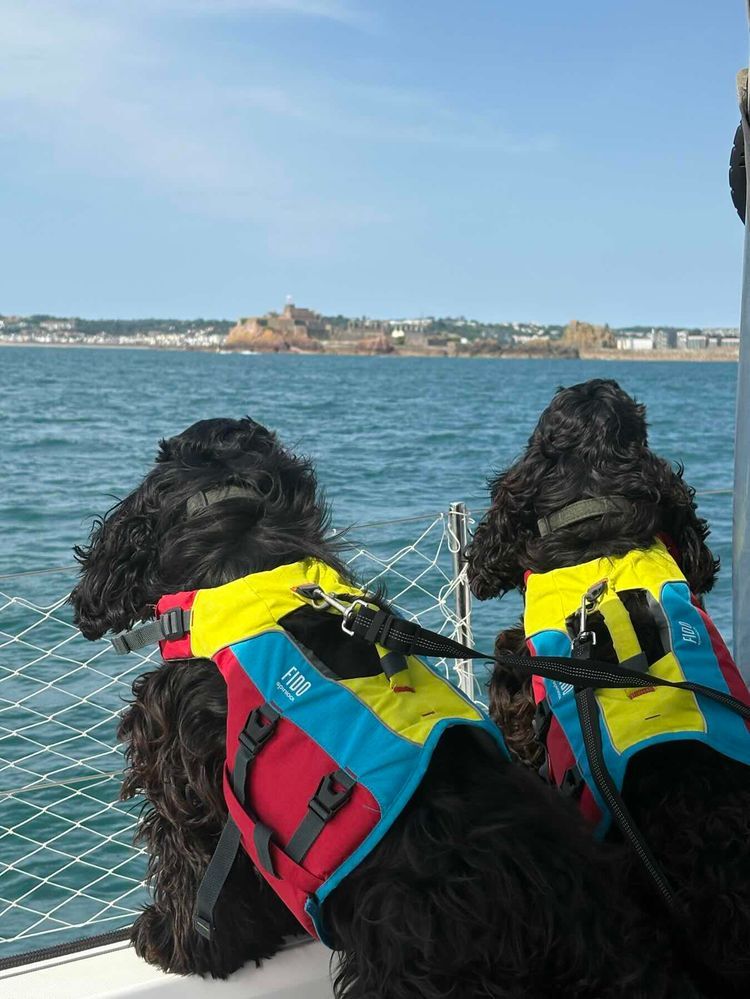 Voyage photo from Petit Port, Guernsey to Elizabeth Marina, Jersey