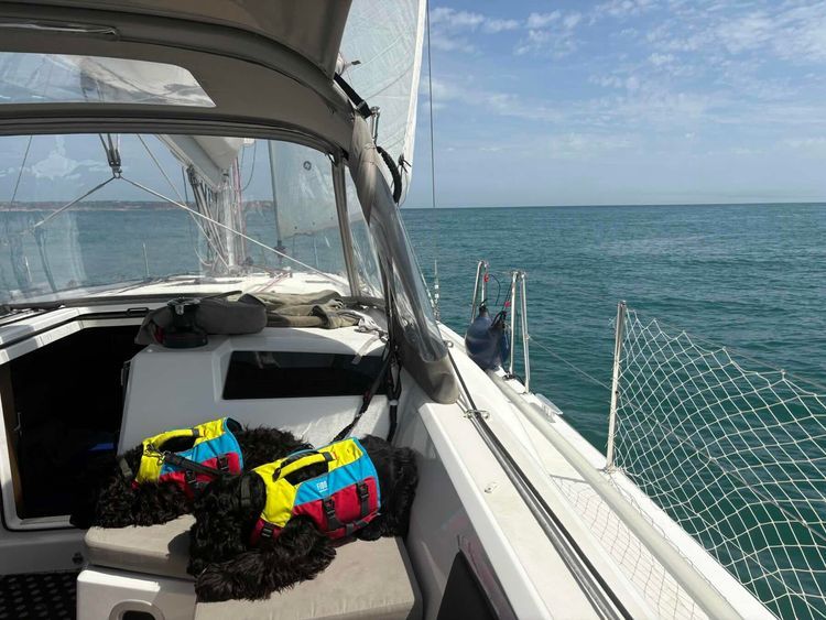 Voyage photo from Petit Port, Guernsey to Elizabeth Marina, Jersey