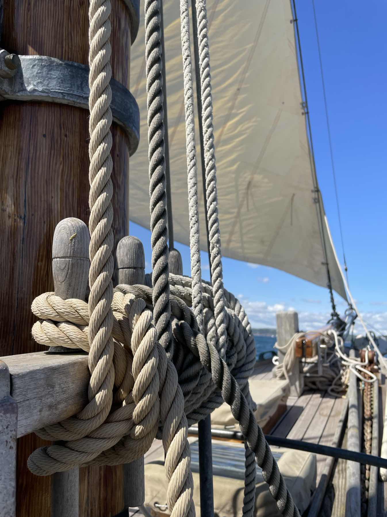 Dartmouth on a classic gaff rig 🤩_A7C24B3E-EAA0-4B5F-9A00-1EA68CBEA39D
