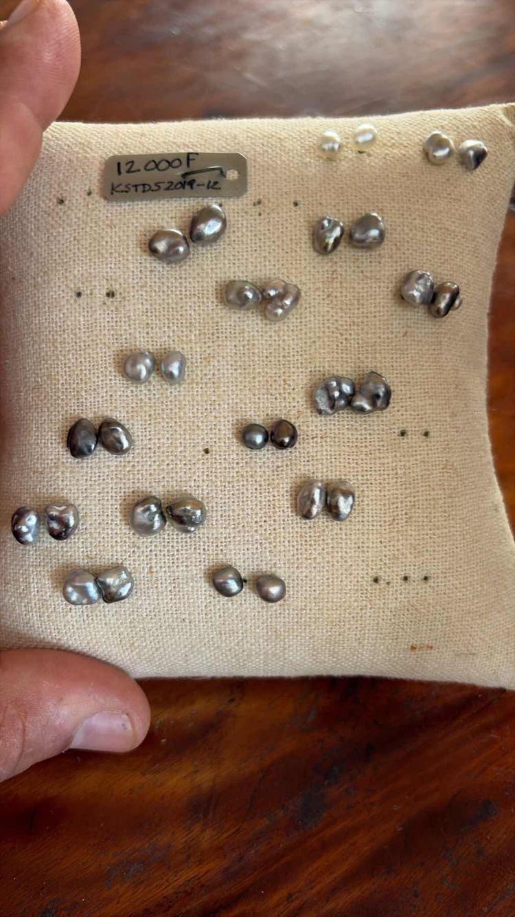 Voyage photo from De la perle à la crique…