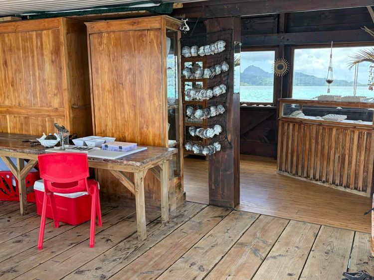 Voyage photo from De la perle à la crique…