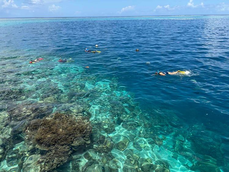 Voyage photo from De la perle à la crique…