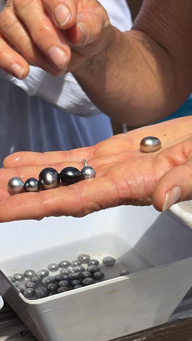 Voyage photo from De la perle à la crique…