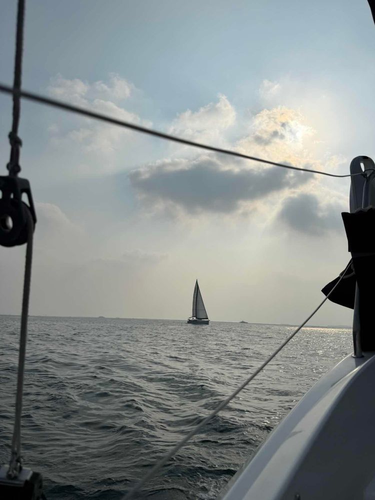 Voyage photo from Training Sail