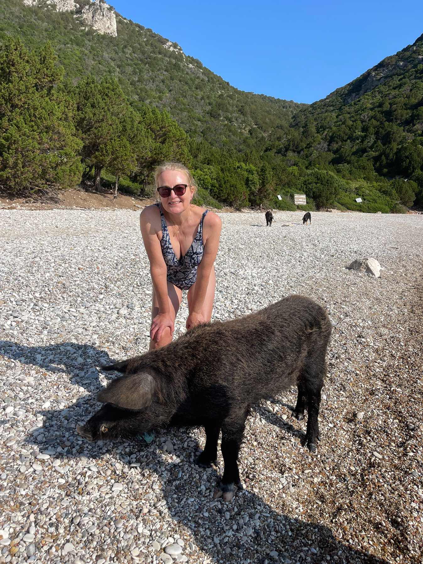 Sailing pigs at Atokos_34951F5D-A821-4AF3-B307-A5F1650D743B