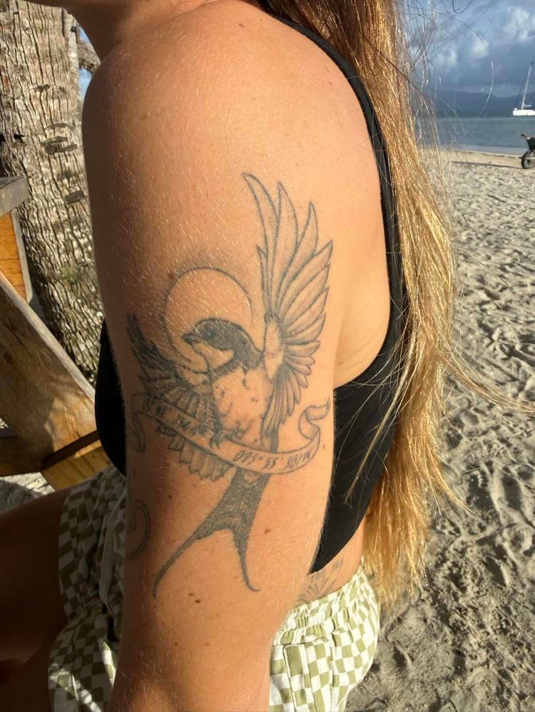 Voyage photo from Swimming pools to Salardup