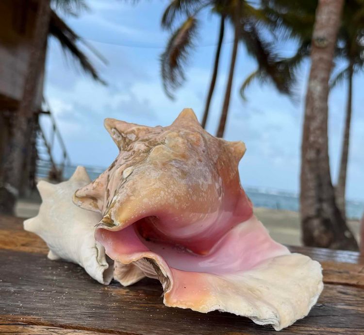 Voyage photo from Swimming pools to Salardup