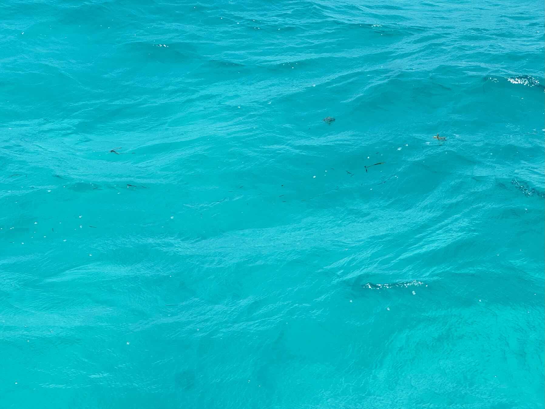 Cat Cay Bimini_03943CB4-824B-4A41-9502-2092E543FB36