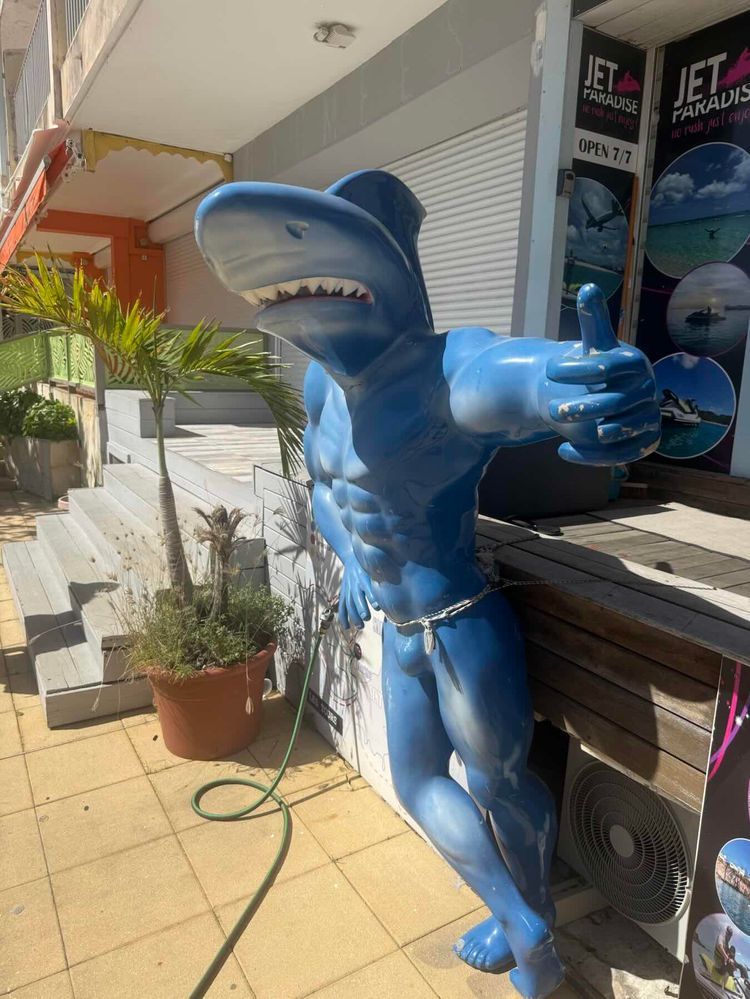 Voyage photo from Return to the Mothership for the 1st passage