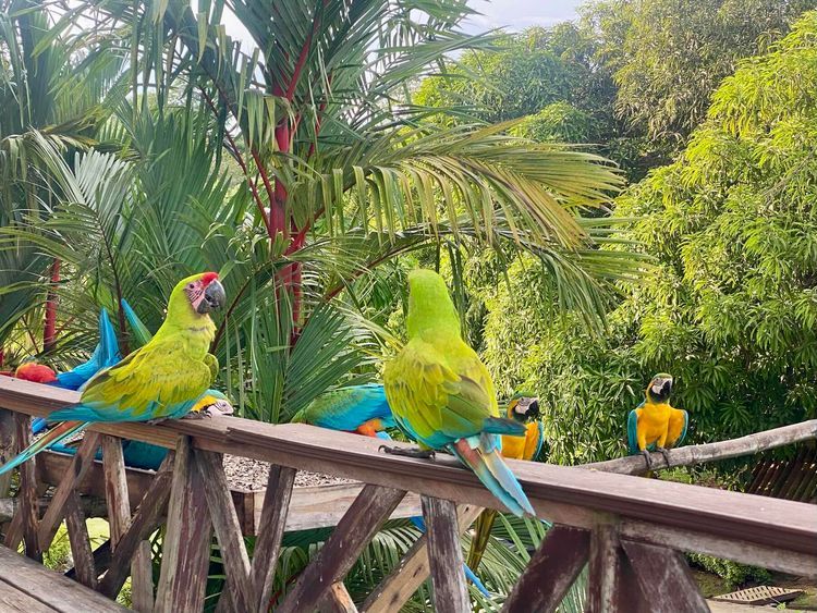 Voyage photo from Isla Pedro Gonzales to Isla San Jose (Perlas Panama) 