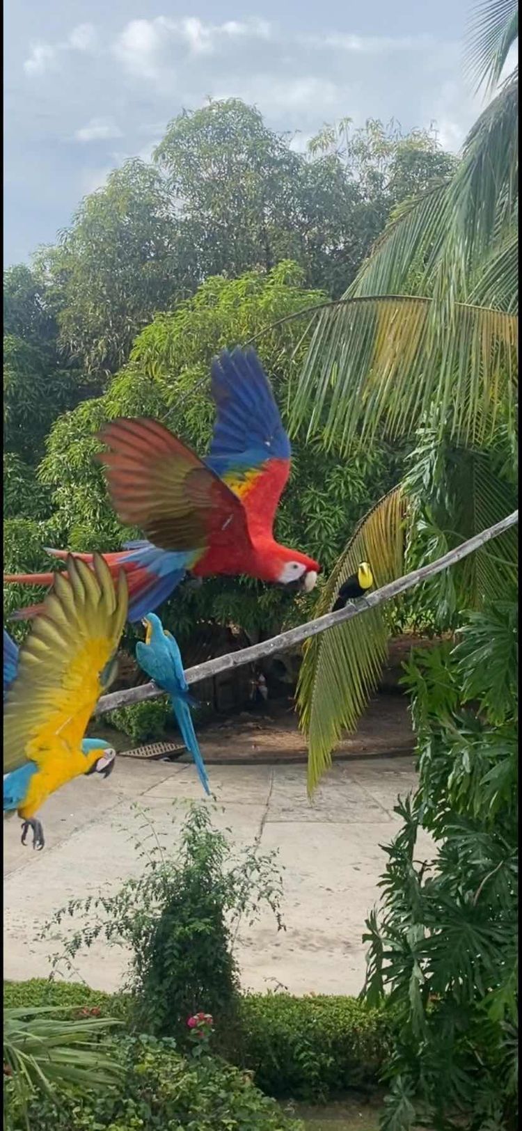 Voyage photo from Isla Pedro Gonzales to Isla San Jose (Perlas Panama) 