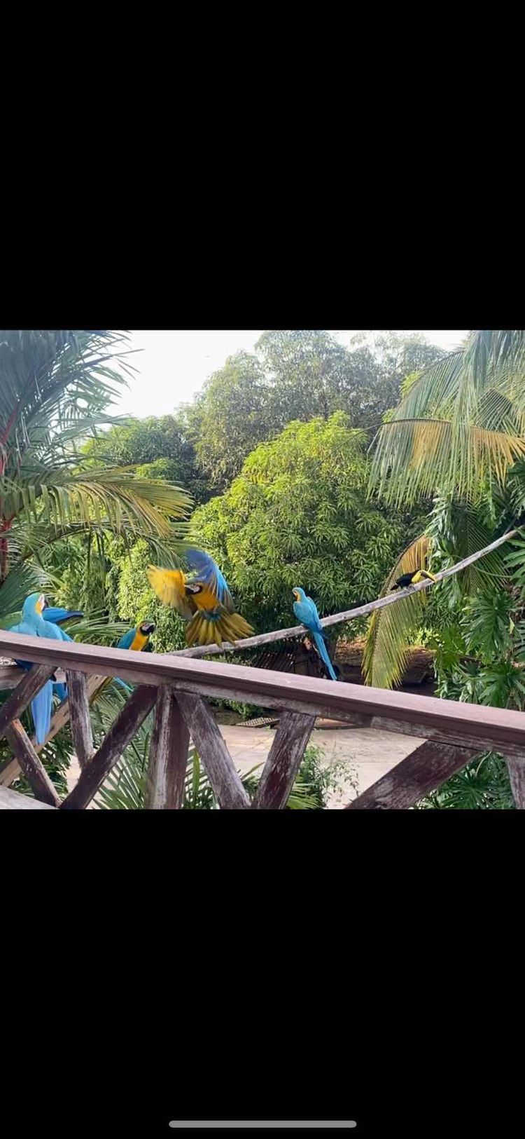 Voyage photo from Isla Pedro Gonzales to Isla San Jose (Perlas Panama) 