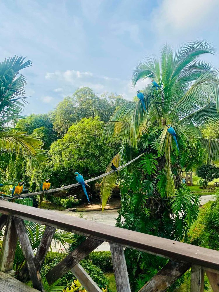 Voyage photo from Isla Pedro Gonzales to Isla San Jose (Perlas Panama) 