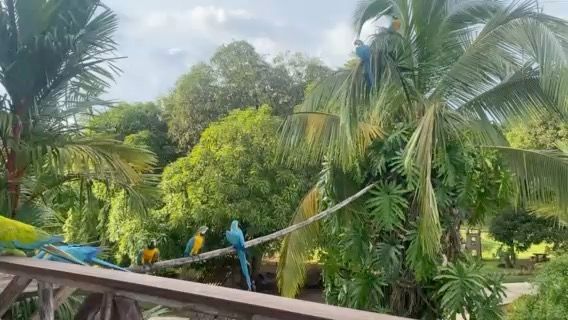 Voyage photo from Isla Pedro Gonzales to Isla San Jose (Perlas Panama) 