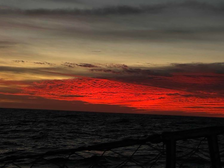 Voyage photo from Beating the Sea of Cortez