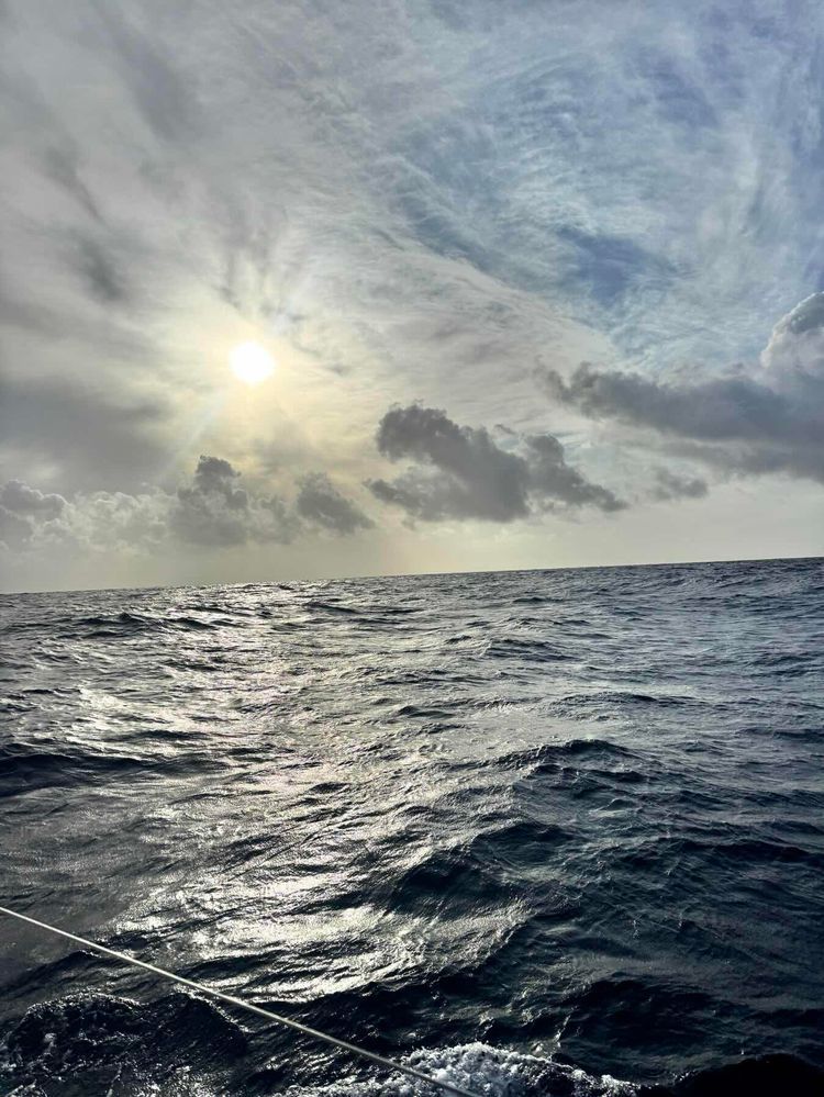 Voyage photo from IM ILL Delivery, leg 11