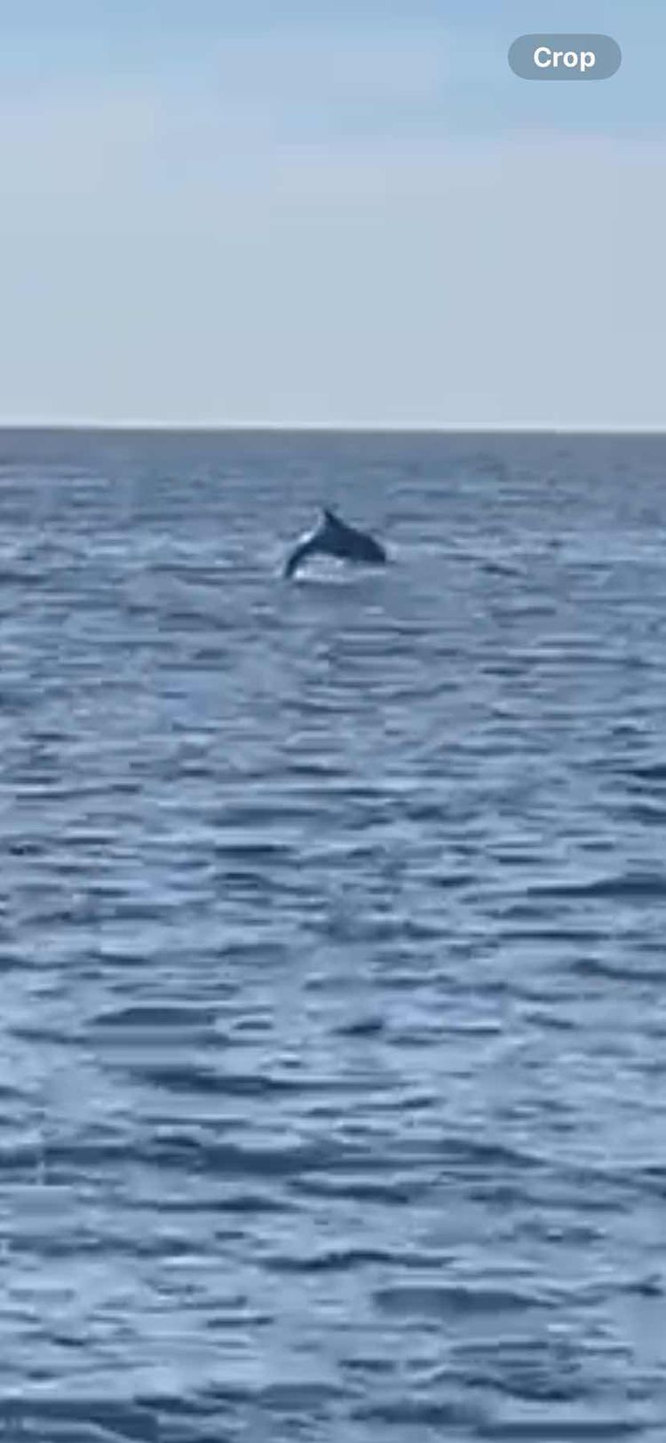 Voyage photo from Barcolana 2025 -Day 1 - Transfer to Trieste