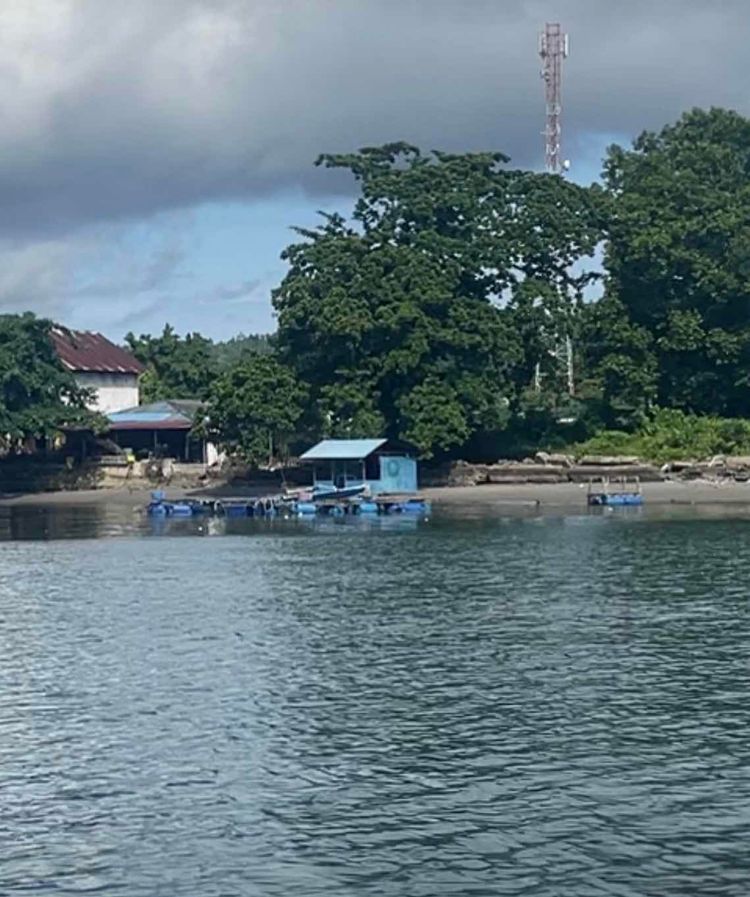 Voyage photo from Ambon to Desi Masnana