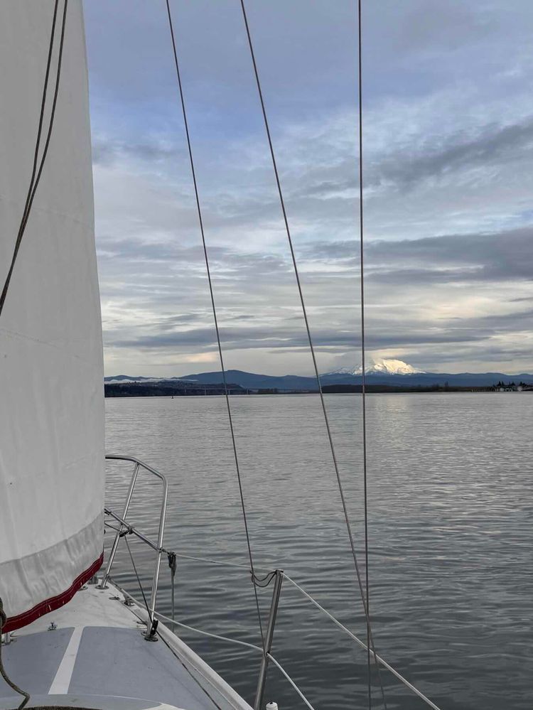 Voyage photo from The pirate River Rose 🌹