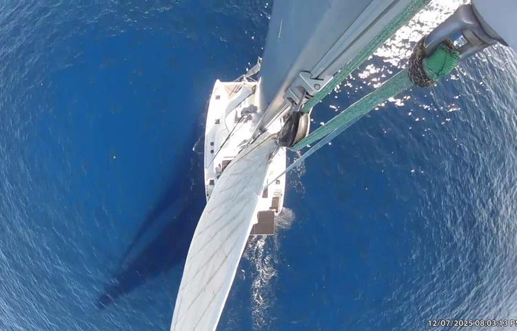 Voyage photo from Key Biscayne to Bimini