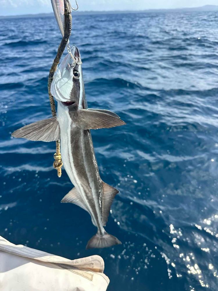Voyage photo from Linton Bay to San Blas (Lemon cay)