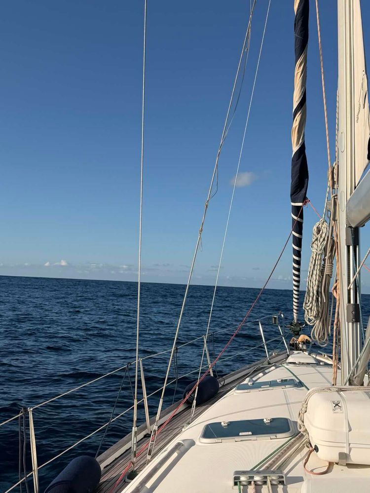 Voyage photo from Solaris Expedition 6