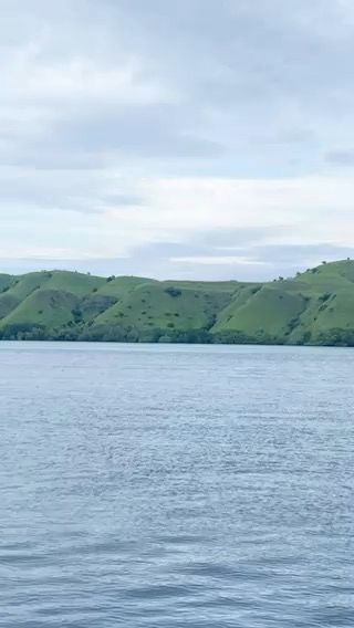 Voyage photo from Gili Banta to Bima