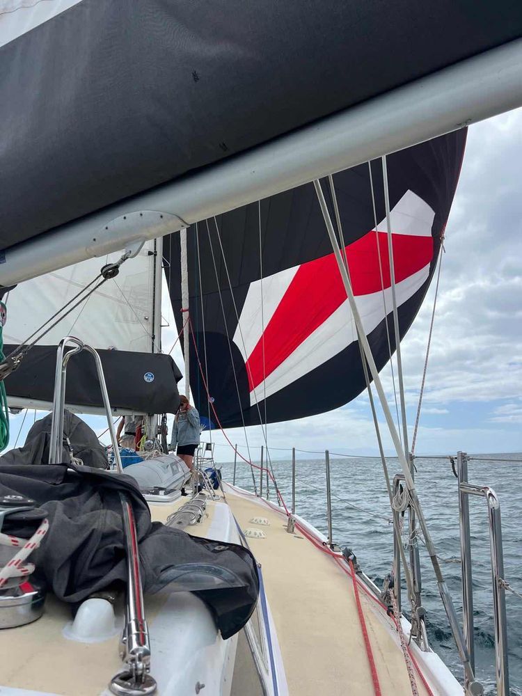 Voyage photo from Waiheke to Stony Bay