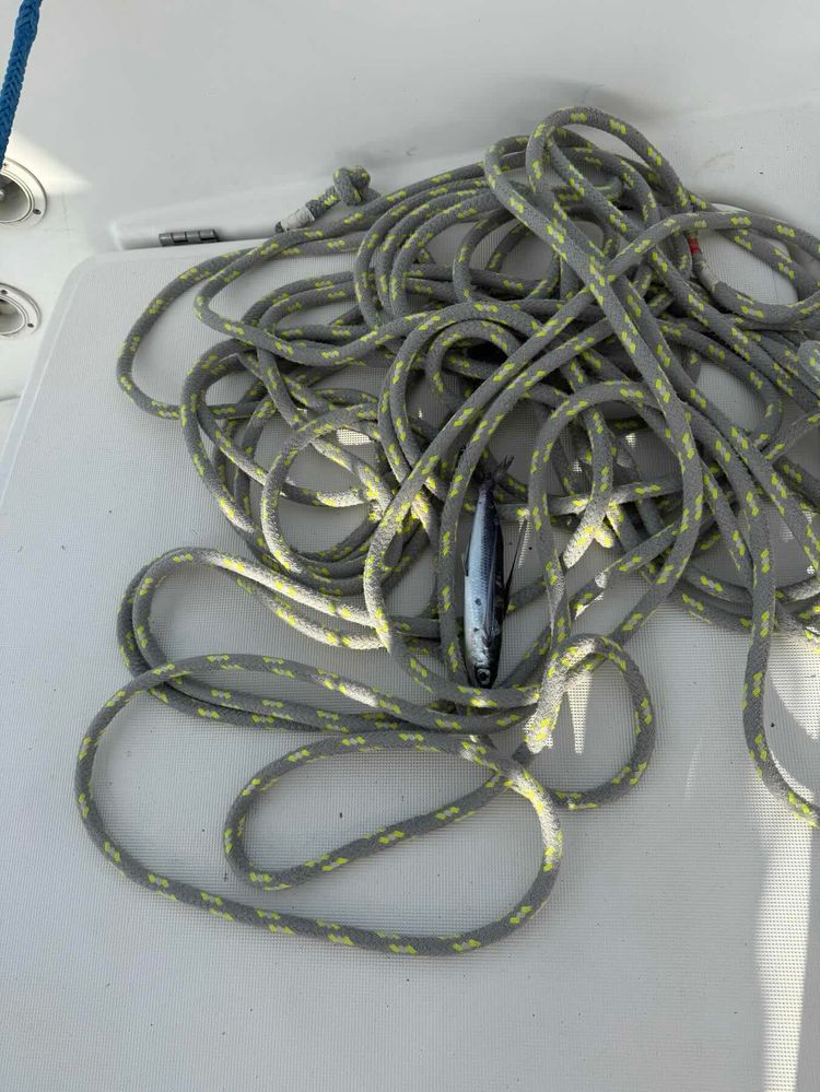 Voyage photo from Middle long Cay, Belize to Cozumel, Mexico