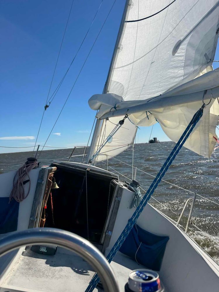 Voyage photo from Black Friday Sailin’