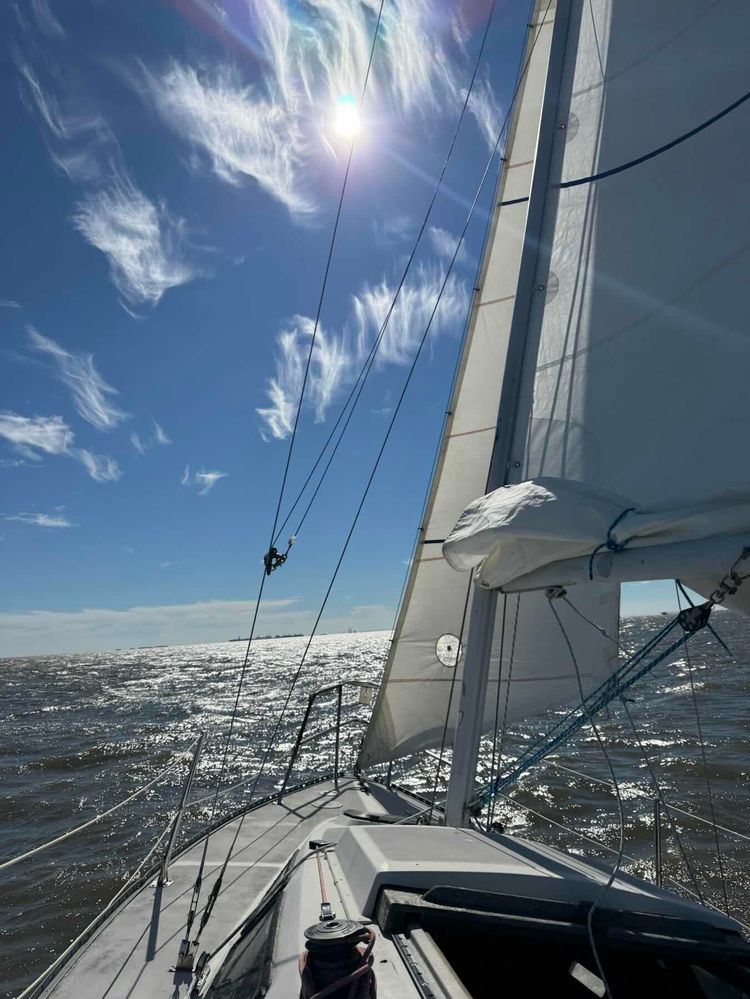 Voyage photo from Black Friday Sailin’