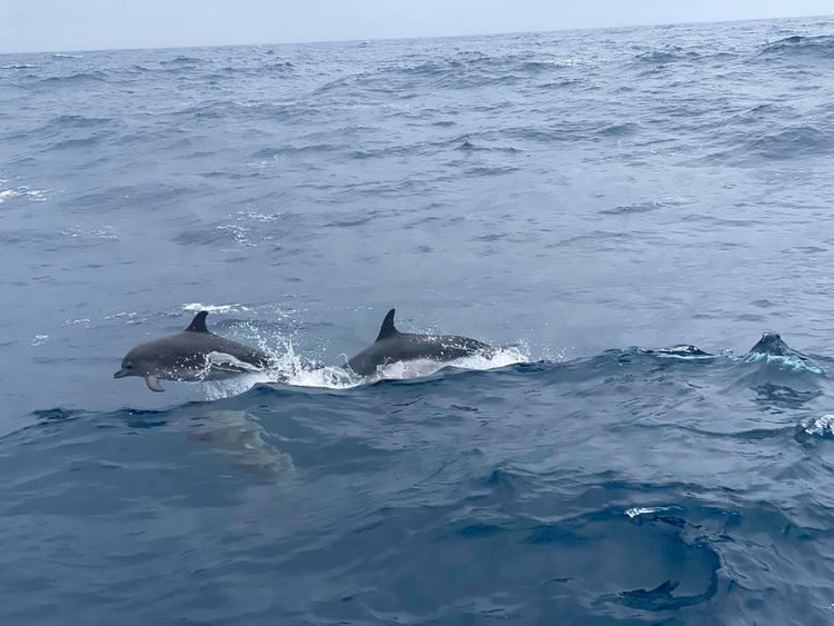 Voyage photo from Around the Atlantic (6)
Bermuda to Azores
